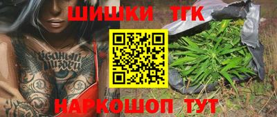 стафф Лесосибирск