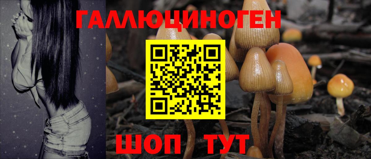 Псилоцибиновые грибы GOLDEN TEACHER  Вход с VPN  Камень-на-Оби 